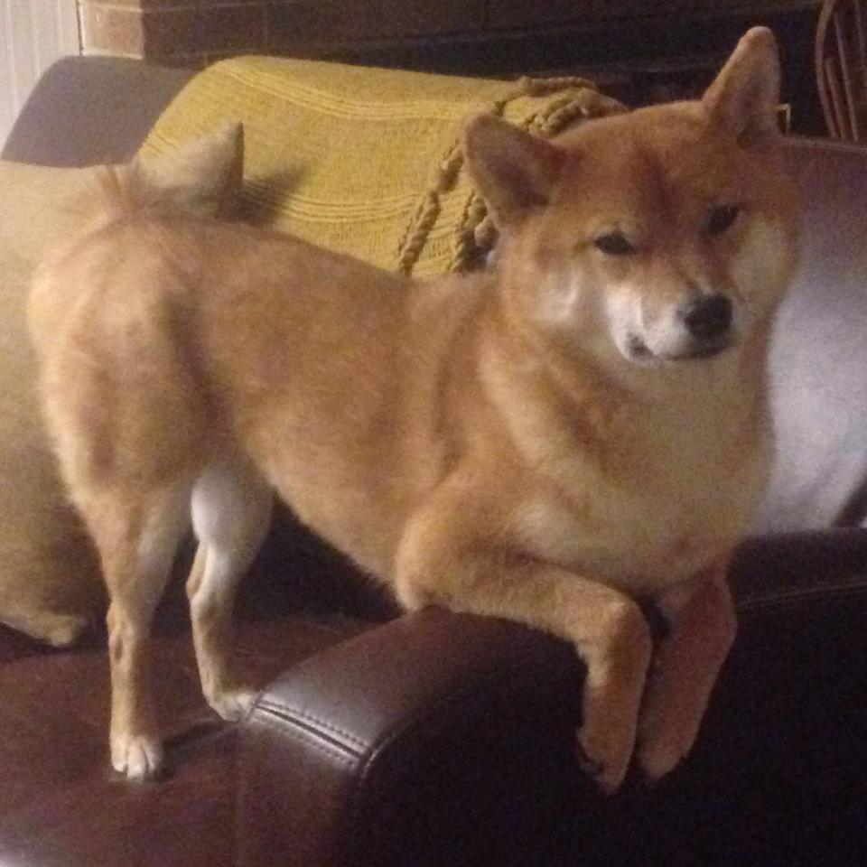 kaiyun网站-_运动员的赛后心声：压力、梦想与未来_，赛后运动员的心理变化