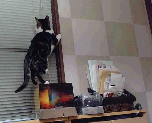 Kaiyun APP-_马刺队坚持磨合，逐步迈向成功_，马刺经典配合视频