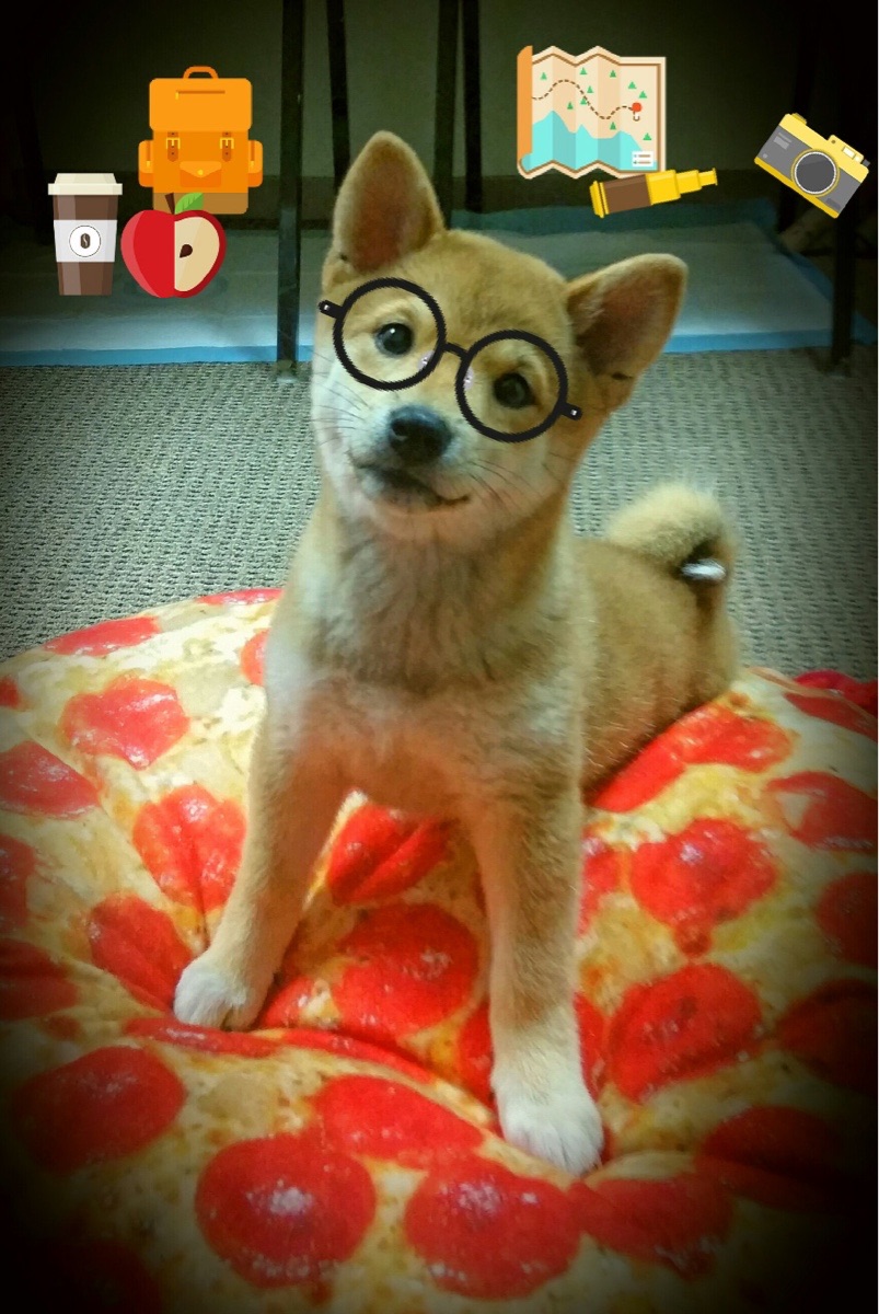 kaiyun官方入口登录-中超联赛全新引擎——数字化运营实现转型升级，中超联赛职业化