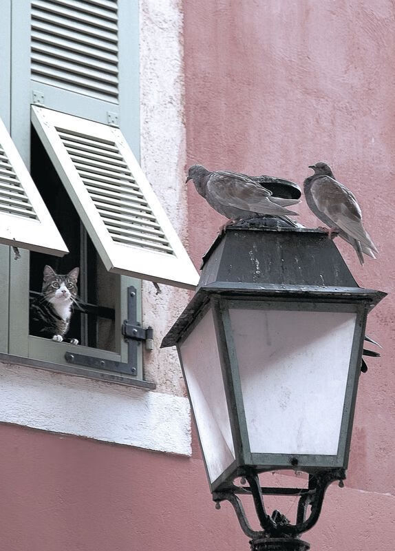 开云·体育官网-互联网直播带货助力中国足球品牌走出去，足球主播平台有哪些