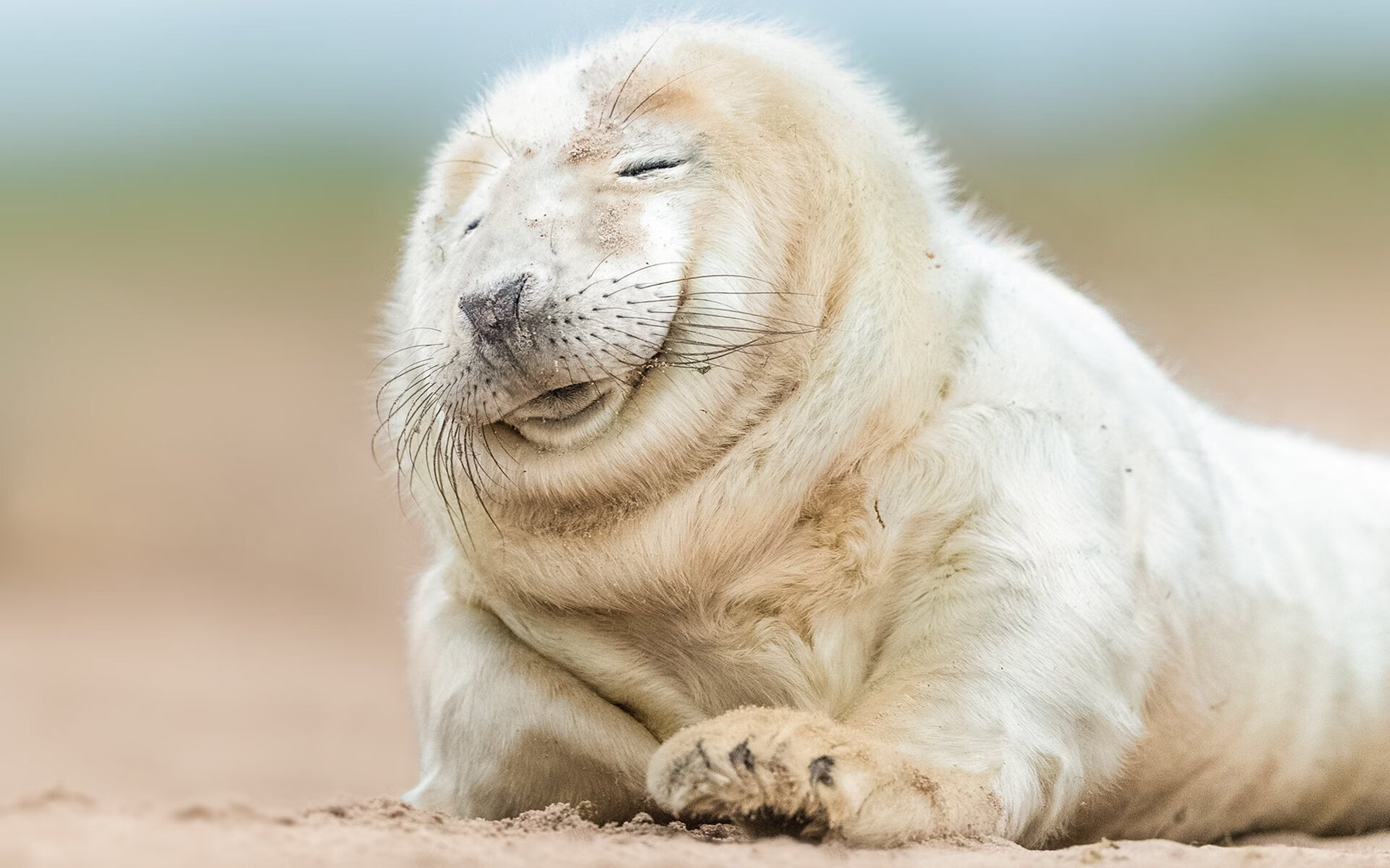 影响深远：联盟如何用科技助力绿色发展？，科技创新助推绿色转型的积极作用