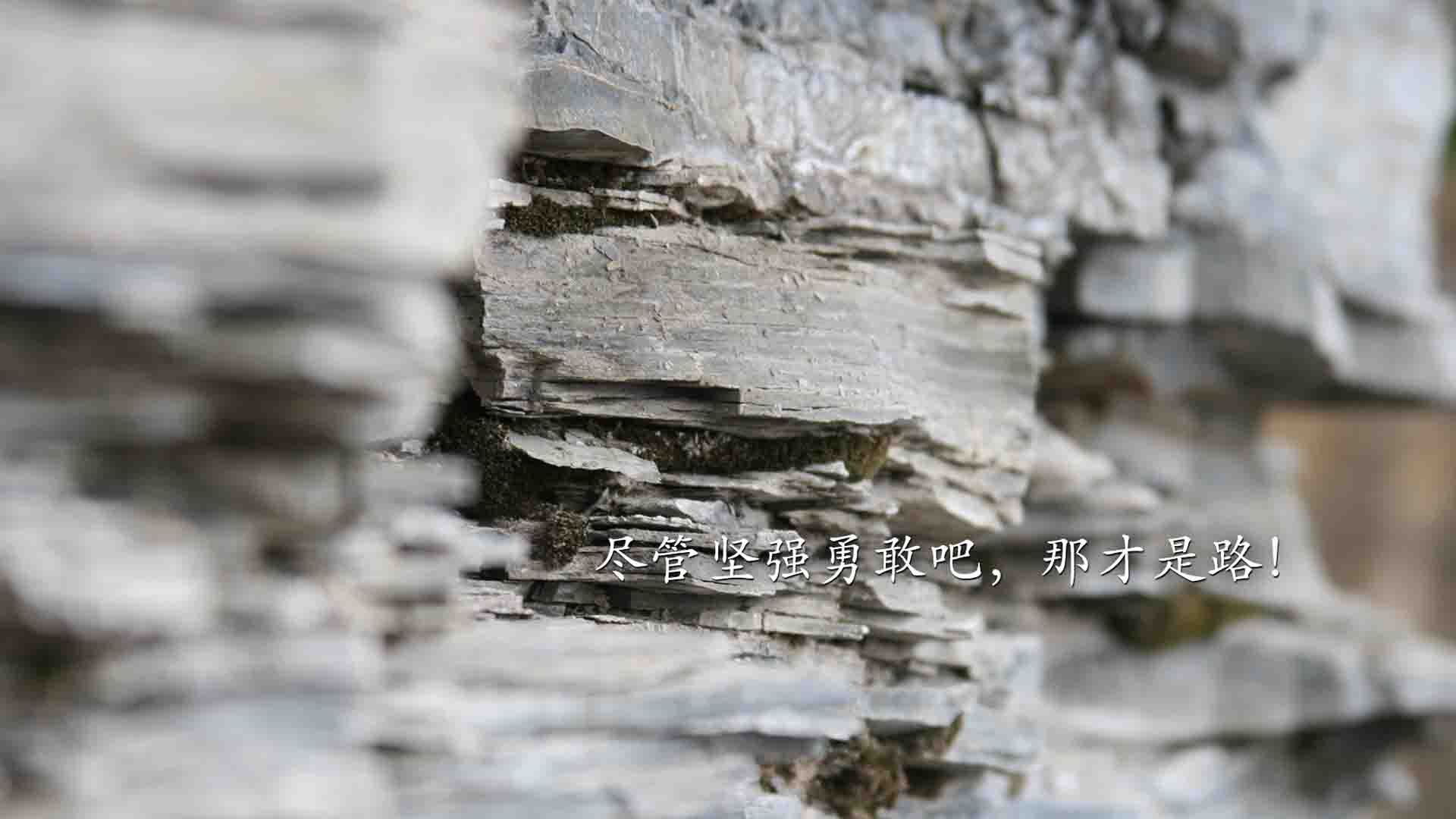 美国反曲弓女队在东京奥运会中获得铜牌，反曲弓奥运会比赛规则