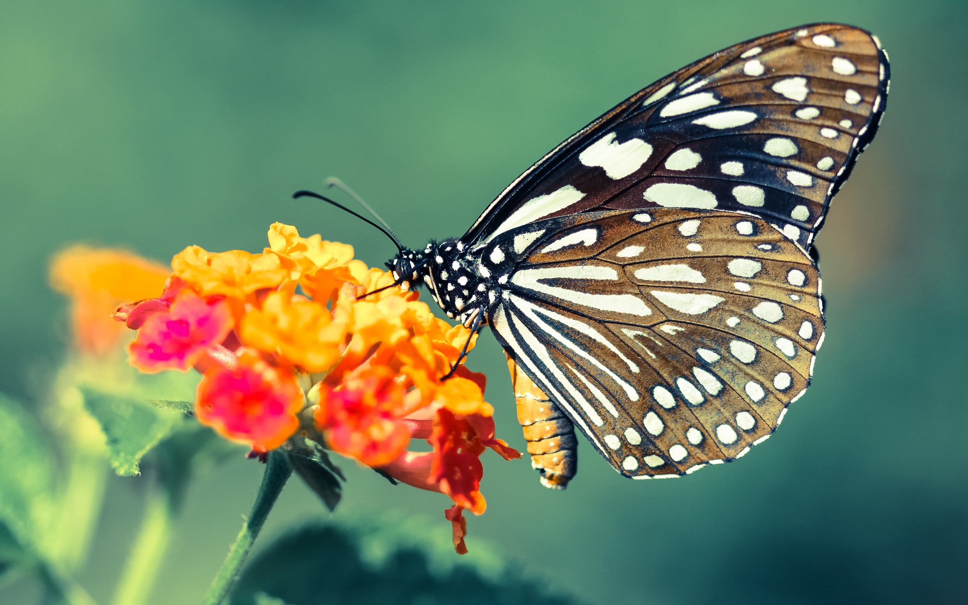 足球博主分享国足热身分析引发广泛讨论，国足热身赛2021