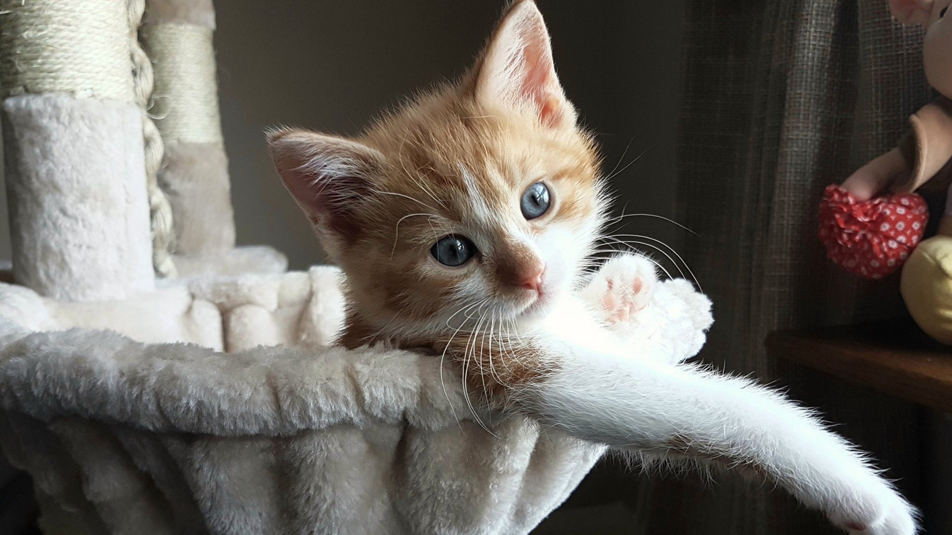 开云官网-足球运动教学技能大赛首次举办，足球运动教学技能大赛首次举办的时间