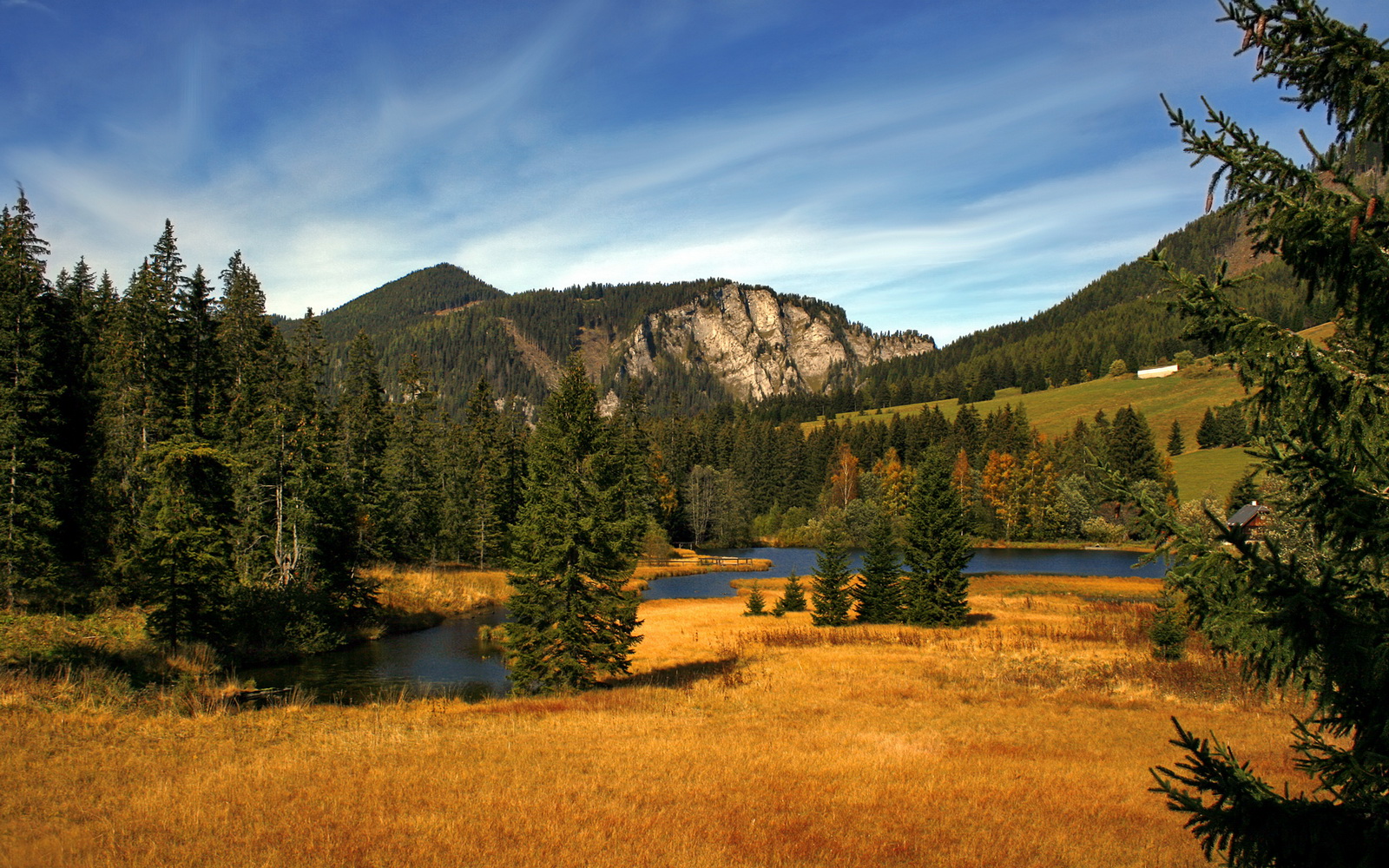 RNG公布“学训结合计划”,允许选手报考体教融合本科班