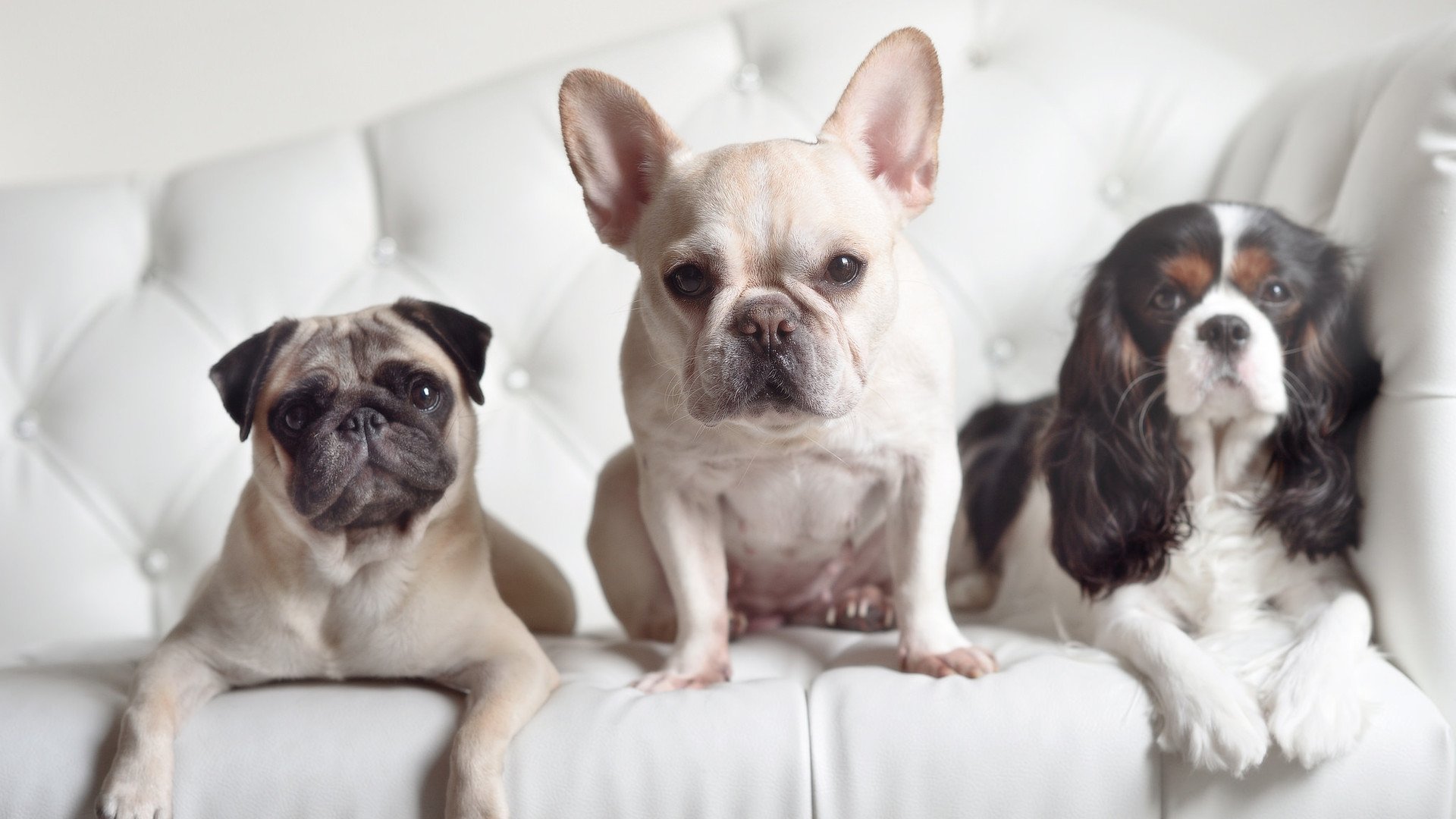 开云体育-中国足球是否面临人才外流双向冲击，目前中国足球人才短缺