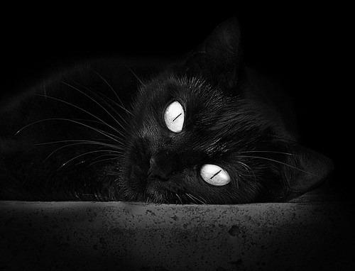 壯觀觀眾席，場外氛圍熱烈，賽事高潮迭起，形容观赛现场观众的词语