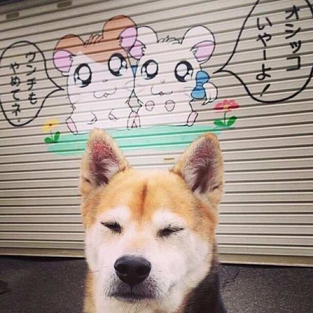 尤文图斯战平曼城：双方各有所长，尤文图斯vs曼联 c罗入球庆祝