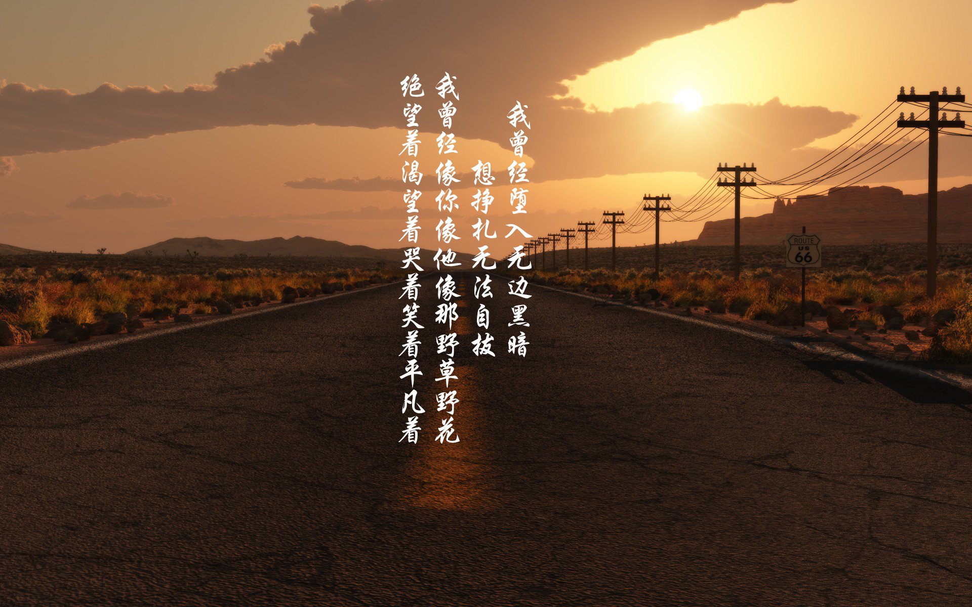 帕尔梅拉斯队员战术执行力强，帕尔梅拉斯赛事