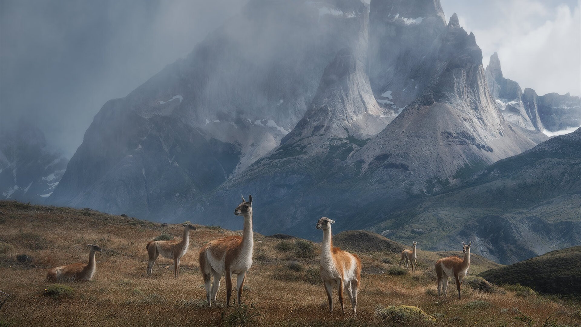 德国国家队击败强敌，锁定欧洲杯席位，德国国家足球队欧洲杯名单