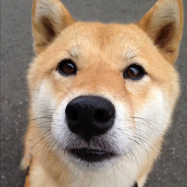 开云官方网页登录-欧国联赛赛场惊现逆转，谁能逆风翻盘？，欧国联赛赛场惊现逆转,谁能逆风翻盘