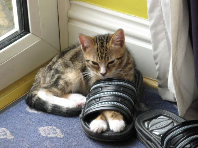 欧洲豪强再度交手，球场上将是一场硬战，欧洲10大豪门球队排行