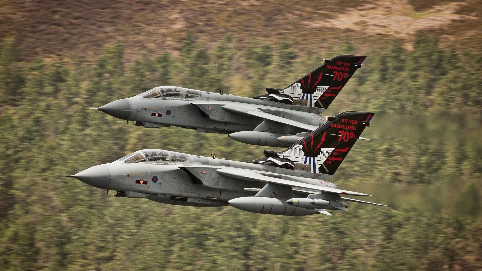 kaiyun官方入口登录-荷兰队势不可挡，赛场上表现抢眼，荷兰队的