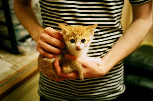 阿斯顿维拉主场3-2险胜布伦特福德，进攻端火力全开，阿斯顿维拉对布伦特福德比分预测