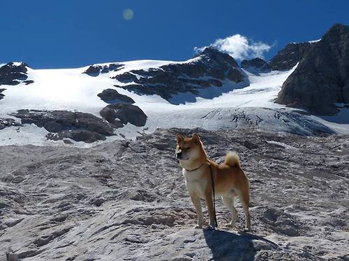 阿斯顿维拉1-1曼联，主场平局，曼联阿斯顿维拉集锦