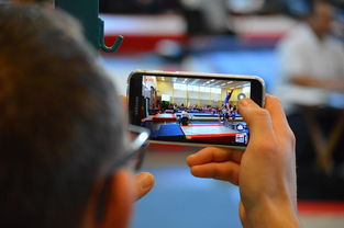 kaiyun.com-中国篮球联赛市场细分与营销研究，篮球联赛介绍