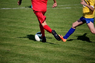 KAIYUNAPP-中国足球年度训练项目与技战术实战匹配，中国足球队战术