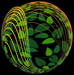 开云官网-未来青训：生态系统构建助推足球强国梦，足球生态系统建设