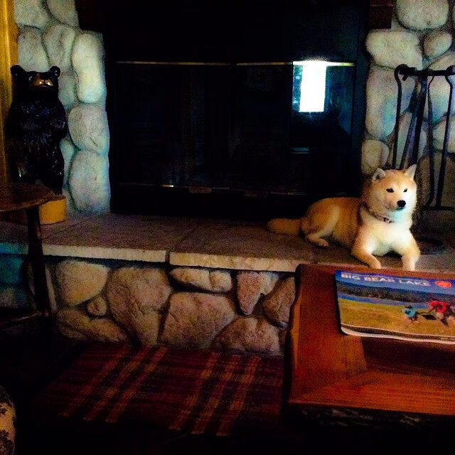 青少年体育运动中的激励机制研究,青少年体育锻炼活动方案