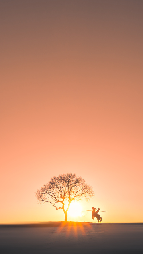 “武汉马拉松赛:谁将成为新的跑步传奇?”