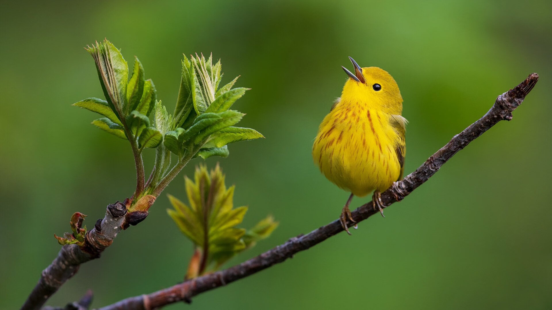 体育新闻中心发布体育新媒体用户行为分析报告，体育新闻受众