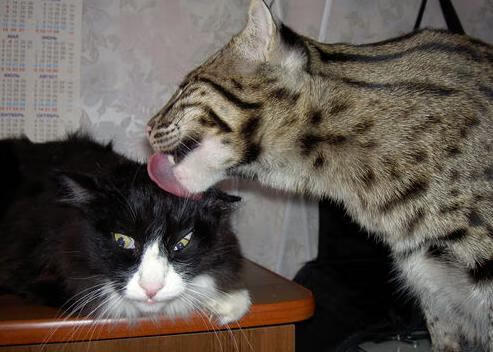 兴隆湖上演轻艇马拉松巅峰对决，兴隆湖水上运动中心