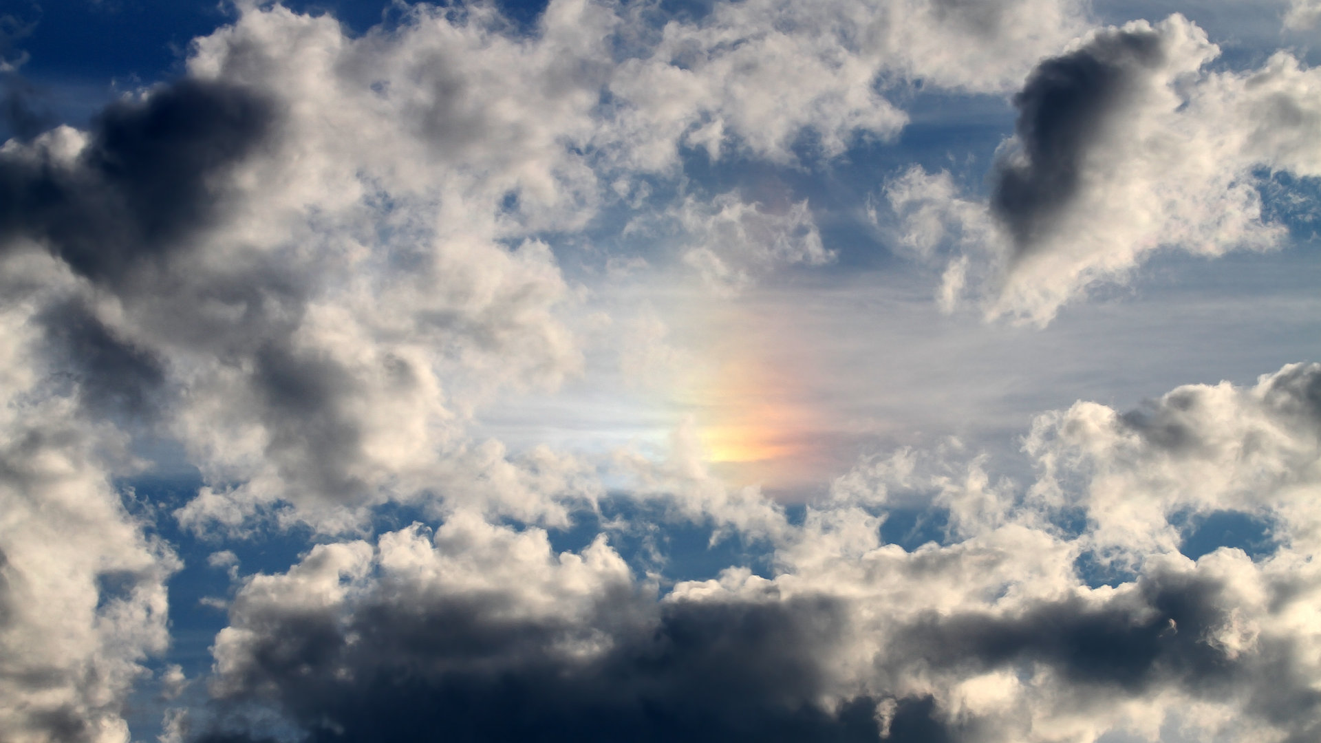 波兰队赛制深度分析：赛制中的人员搭配与战术应对，波兰球队分析