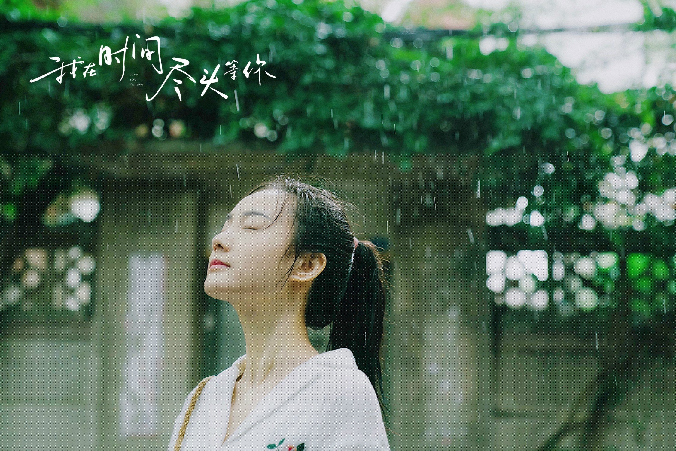 瑞典乒乓球队未来：如何在国际舞台再创辉煌，瑞典国家乒乓球队