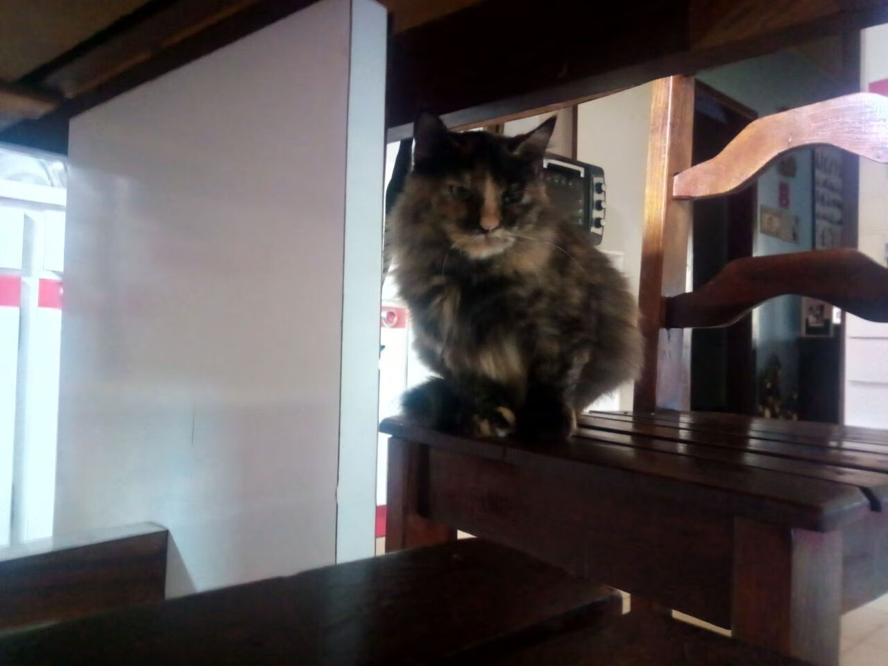 美国女将包揽100仰冠亚，美国女排名将