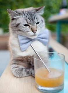 世界杯劲爆瞬间：逆境中逆袭的精彩表现，世界杯决赛逆转