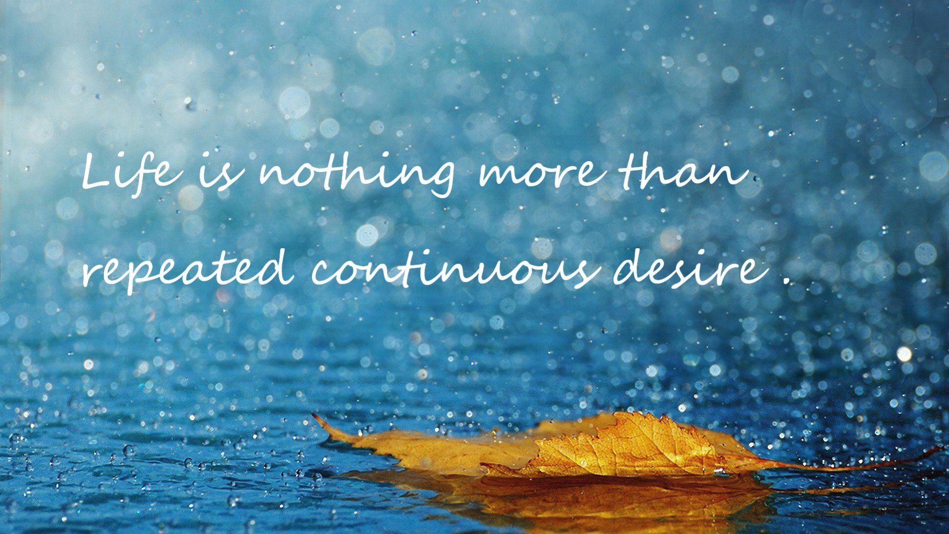 kaiyun体育综合-俱乐部打造科技体验馆，增强球迷沉浸感，科技体验营