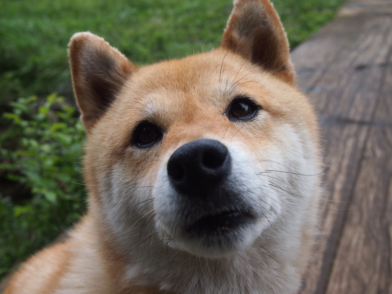 kaiyun官方网站-克莱尔·柯尔赞技术细腻领跑赛道，柯莱尔斯