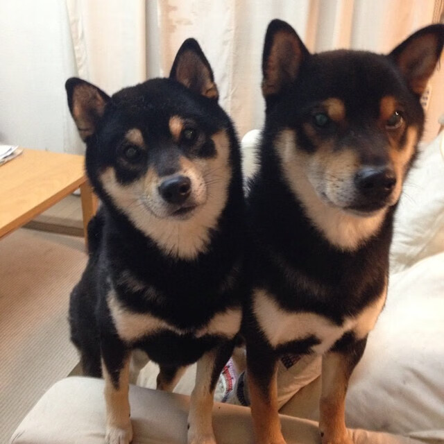 国家体育总局通报青少年专项训练数据比对系统上线情况，全国青少年体能标准