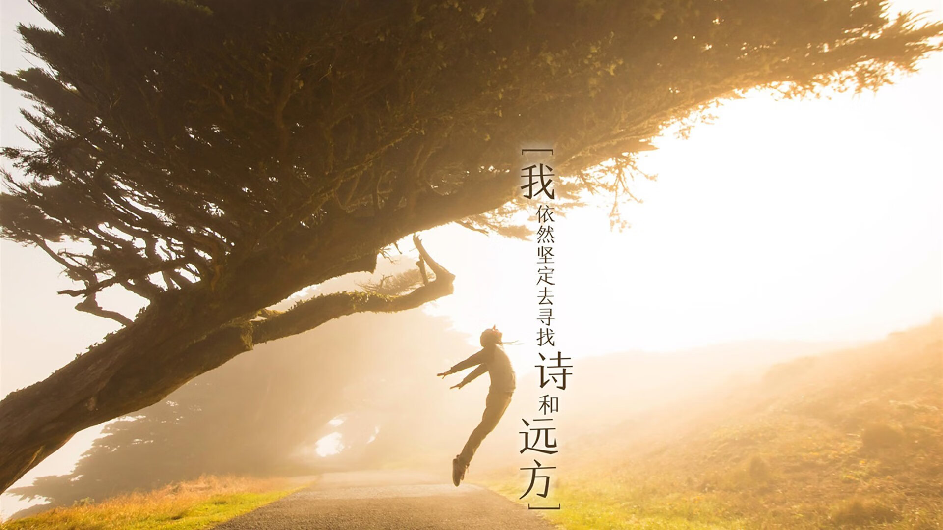 张伟丽表示热爱是训练中最大的动力，张伟丽训练视频很是热血