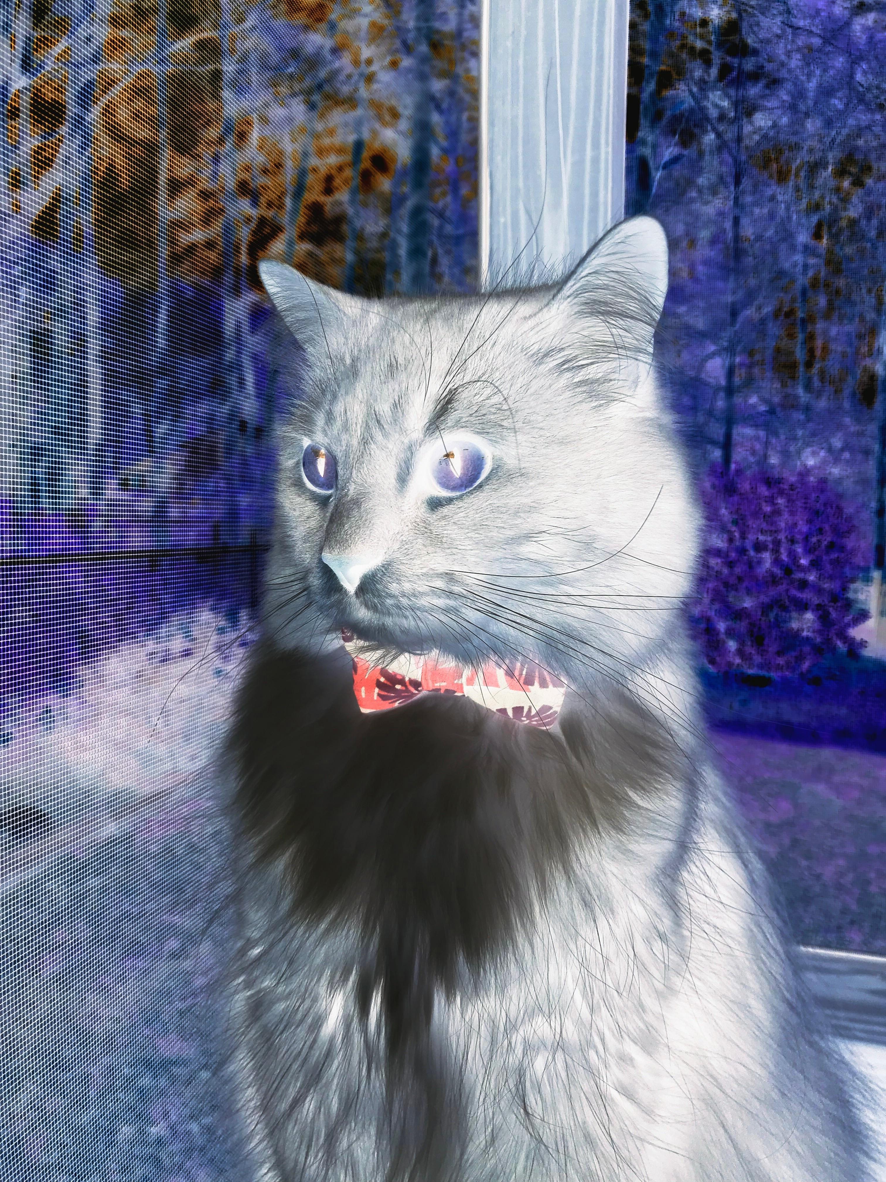 开云网页版登录入口-法甲新星闪耀：未来足球新领袖！，法甲新赛季宣传片