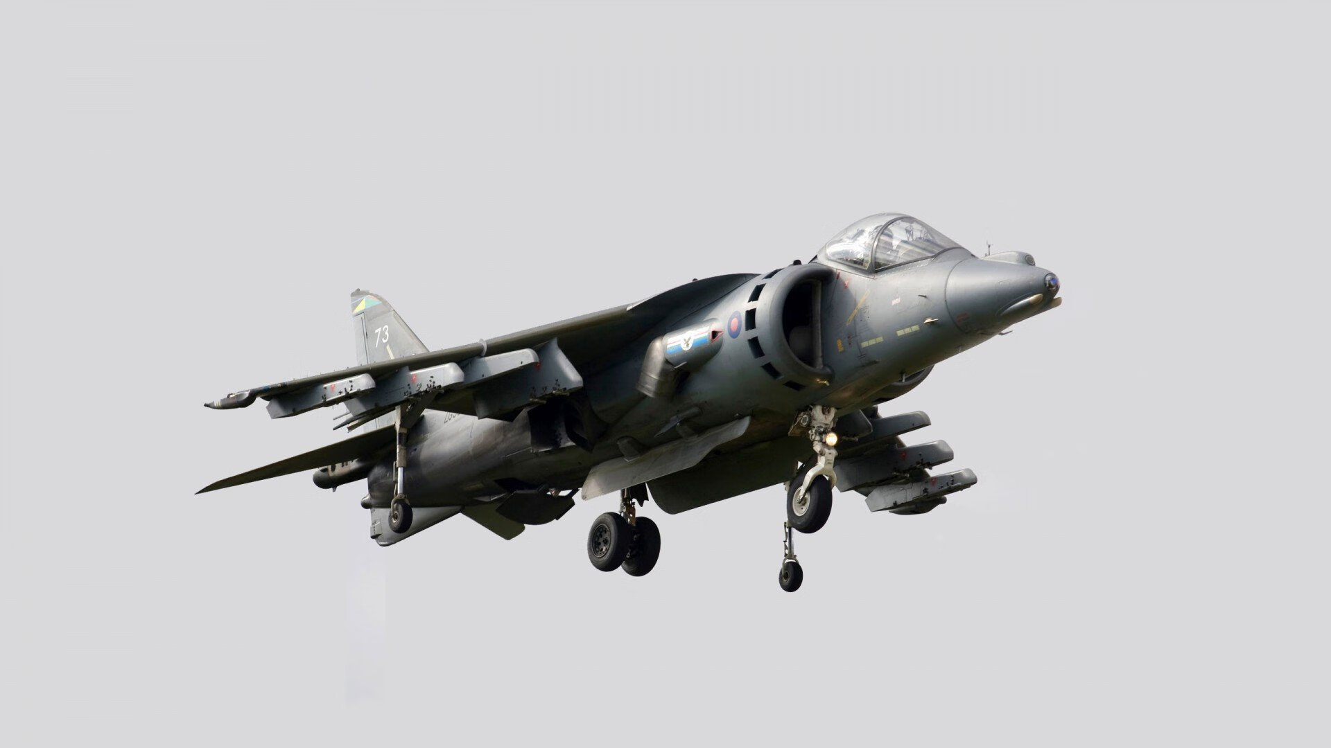 莫伊：全黑队前锋中的“钢铁战士”，屡次为球队挡住攻势